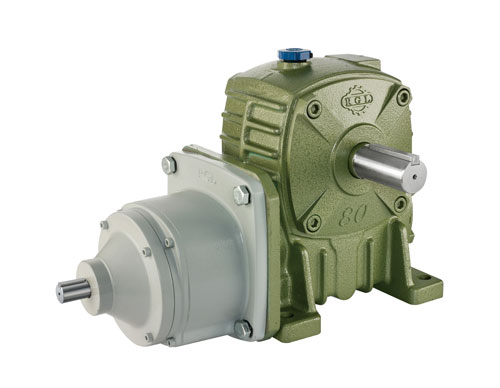Two-Stage Worm Gear Reducer (Worm-Gear) Two-Stage Worm Gear Reducer (Worm-Gear)