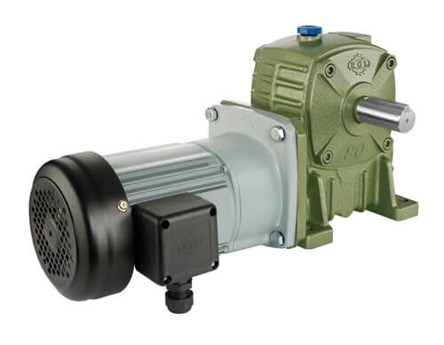 Two-Stage Worm Gear Reducer (Worm-Gear)